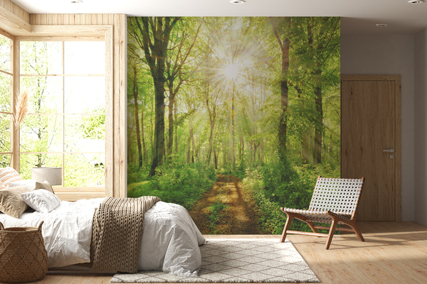 Fototapet Sti i den solrige skov, Fototapeter Natur, u22252 : Uwalls.dk